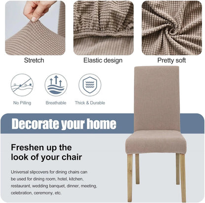 Turn Worn Dining Chairs Into a Fresh, Stylish Look — In Seconds